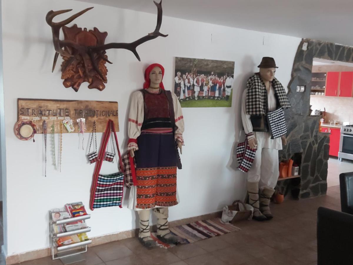 Pensiunea Schilacy Grosii Tiblesului Εξωτερικό φωτογραφία