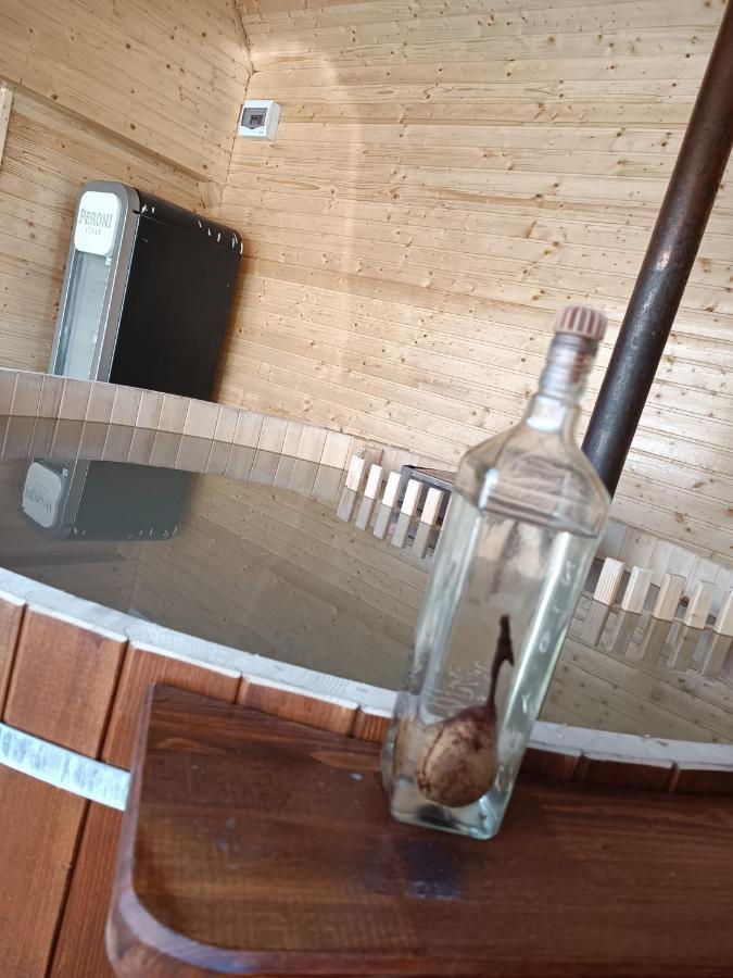 Pensiunea Schilacy Grosii Tiblesului Εξωτερικό φωτογραφία